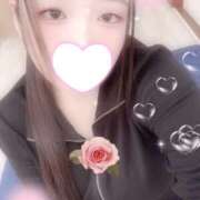 ヒメ日記 2025/10/27 13:00 投稿 ミモザ 飾窓