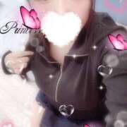 ヒメ日記 2025/10/27 16:33 投稿 ミモザ 飾窓