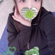 ヒメ日記 2025/10/27 19:04 投稿 ミモザ 飾窓