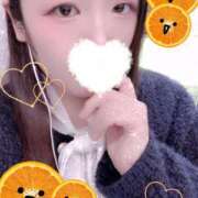 ヒメ日記 2025/10/28 10:00 投稿 ミモザ 飾窓