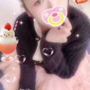 ヒメ日記 2025/10/28 16:00 投稿 ミモザ 飾窓