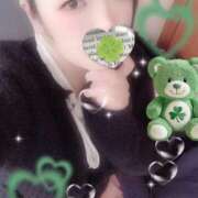 ヒメ日記 2025/10/28 19:00 投稿 ミモザ 飾窓