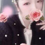 ヒメ日記 2025/10/28 23:15 投稿 ミモザ 飾窓