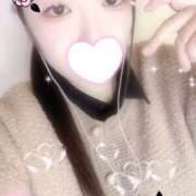 ヒメ日記 2025/10/29 10:00 投稿 ミモザ 飾窓