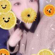 ヒメ日記 2025/10/29 16:00 投稿 ミモザ 飾窓