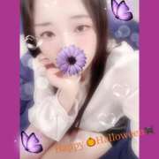 ヒメ日記 2025/10/30 16:00 投稿 ミモザ 飾窓