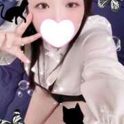 ヒメ日記 2025/10/30 19:00 投稿 ミモザ 飾窓