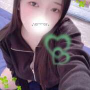 ヒメ日記 2025/10/31 14:30 投稿 ミモザ 飾窓