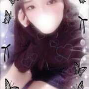 ヒメ日記 2025/10/31 20:30 投稿 ミモザ 飾窓