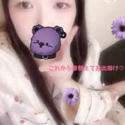 ヒメ日記 2025/11/01 12:30 投稿 ミモザ 飾窓