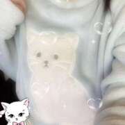 ヒメ日記 2025/11/01 20:30 投稿 ミモザ 飾窓