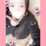 ヒメ日記 2025/11/02 11:34 投稿 ミモザ 飾窓