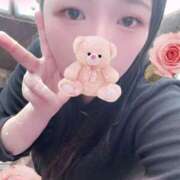 ヒメ日記 2025/11/02 17:00 投稿 ミモザ 飾窓