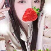 ヒメ日記 2025/11/02 20:10 投稿 ミモザ 飾窓