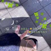 ヒメ日記 2025/11/03 10:00 投稿 ミモザ 飾窓