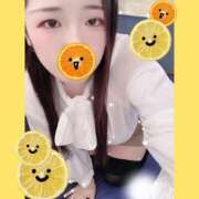 ヒメ日記 2025/11/03 13:00 投稿 ミモザ 飾窓