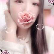 ヒメ日記 2025/11/03 16:00 投稿 ミモザ 飾窓