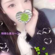 ヒメ日記 2025/11/03 17:22 投稿 ミモザ 飾窓