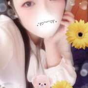 ヒメ日記 2025/11/03 19:20 投稿 ミモザ 飾窓