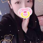 ヒメ日記 2025/11/04 13:00 投稿 ミモザ 飾窓