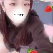 ヒメ日記 2025/11/04 16:00 投稿 ミモザ 飾窓