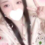 ヒメ日記 2025/11/06 10:00 投稿 ミモザ 飾窓