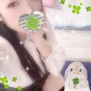 ヒメ日記 2025/11/06 13:00 投稿 ミモザ 飾窓