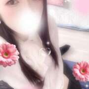 ヒメ日記 2025/11/06 16:00 投稿 ミモザ 飾窓