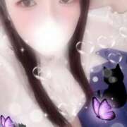 ヒメ日記 2025/11/06 19:00 投稿 ミモザ 飾窓