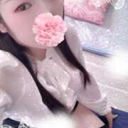 ヒメ日記 2025/11/06 21:30 投稿 ミモザ 飾窓