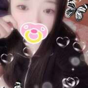 ヒメ日記 2025/11/07 10:00 投稿 ミモザ 飾窓