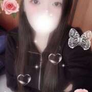 ヒメ日記 2025/11/07 16:00 投稿 ミモザ 飾窓