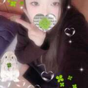 ヒメ日記 2025/11/07 22:30 投稿 ミモザ 飾窓