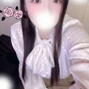 ヒメ日記 2025/11/08 10:00 投稿 ミモザ 飾窓