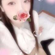 ヒメ日記 2025/11/08 13:00 投稿 ミモザ 飾窓