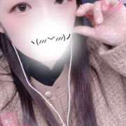 ヒメ日記 2025/11/10 10:00 投稿 ミモザ 飾窓