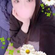 ヒメ日記 2025/11/10 13:00 投稿 ミモザ 飾窓