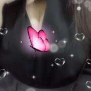 ヒメ日記 2025/11/10 19:00 投稿 ミモザ 飾窓