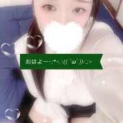 ヒメ日記 2025/11/11 10:05 投稿 ミモザ 飾窓