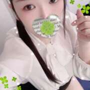 ヒメ日記 2025/11/11 13:00 投稿 ミモザ 飾窓