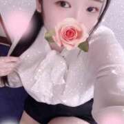 ヒメ日記 2025/11/11 19:00 投稿 ミモザ 飾窓