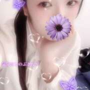 ヒメ日記 2025/11/11 20:10 投稿 ミモザ 飾窓