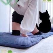 ヒメ日記 2025/11/11 23:00 投稿 ミモザ 飾窓