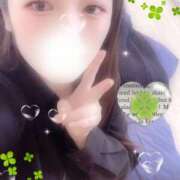 ヒメ日記 2025/11/12 10:05 投稿 ミモザ 飾窓