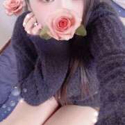 ヒメ日記 2025/11/12 16:00 投稿 ミモザ 飾窓