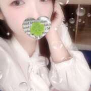 ヒメ日記 2025/11/13 13:45 投稿 ミモザ 飾窓