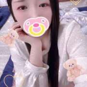 ヒメ日記 2025/11/13 16:45 投稿 ミモザ 飾窓