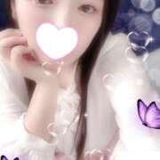 ヒメ日記 2025/11/13 14:00 投稿 ミモザ 飾窓