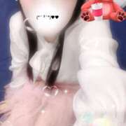 ヒメ日記 2025/11/13 20:45 投稿 ミモザ 飾窓