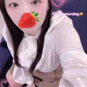 ヒメ日記 2025/11/14 10:00 投稿 ミモザ 飾窓